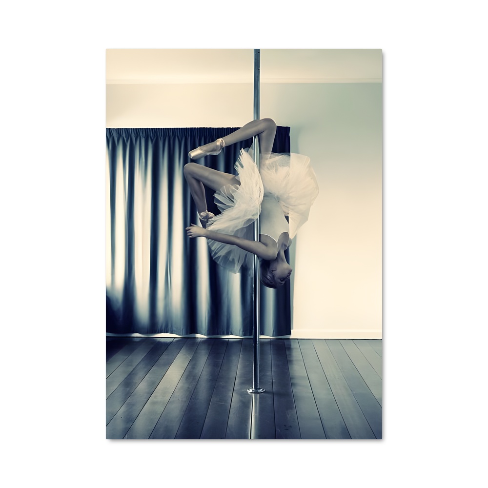 Poster Pole world
